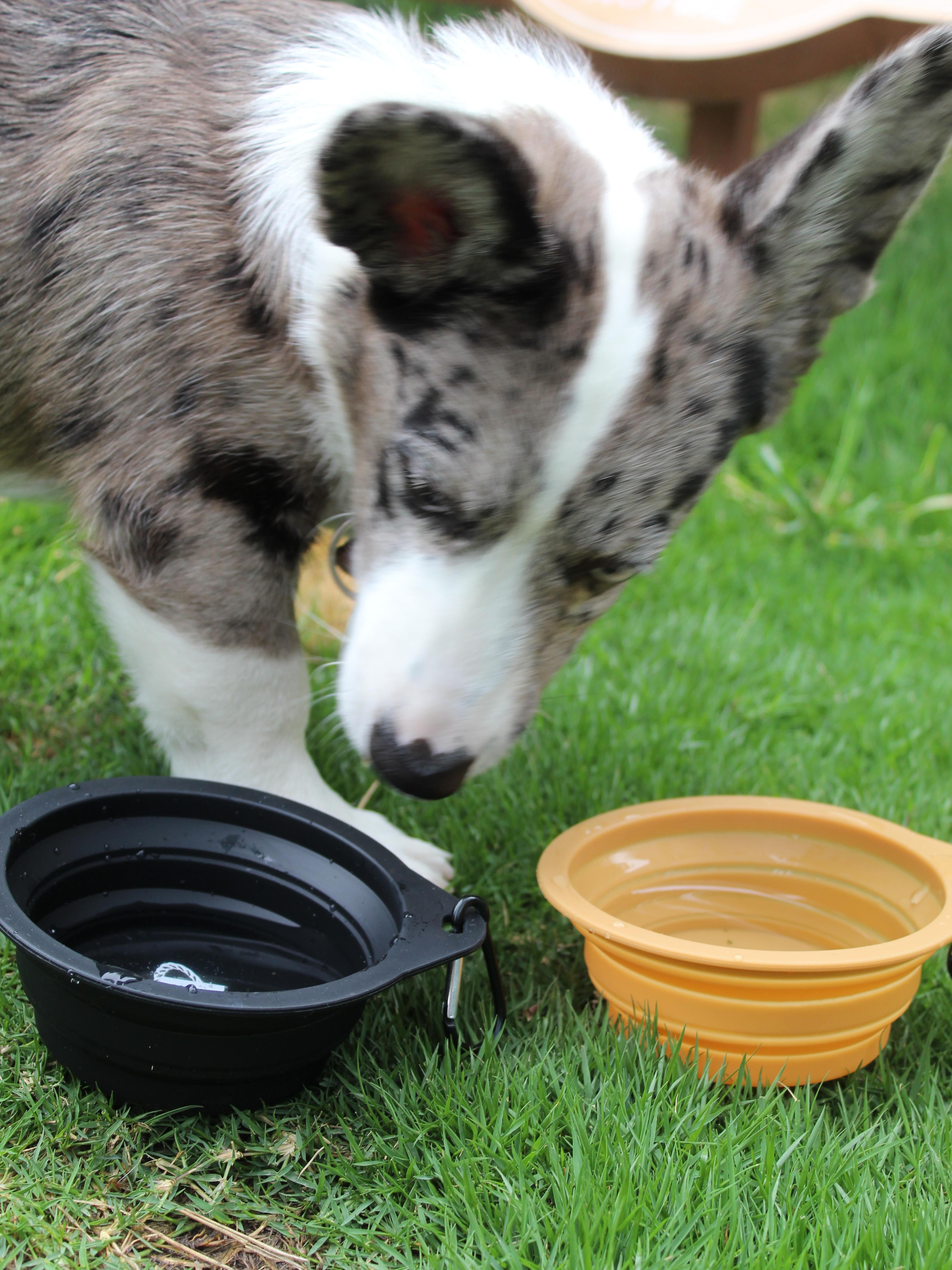 Silicone Bowl