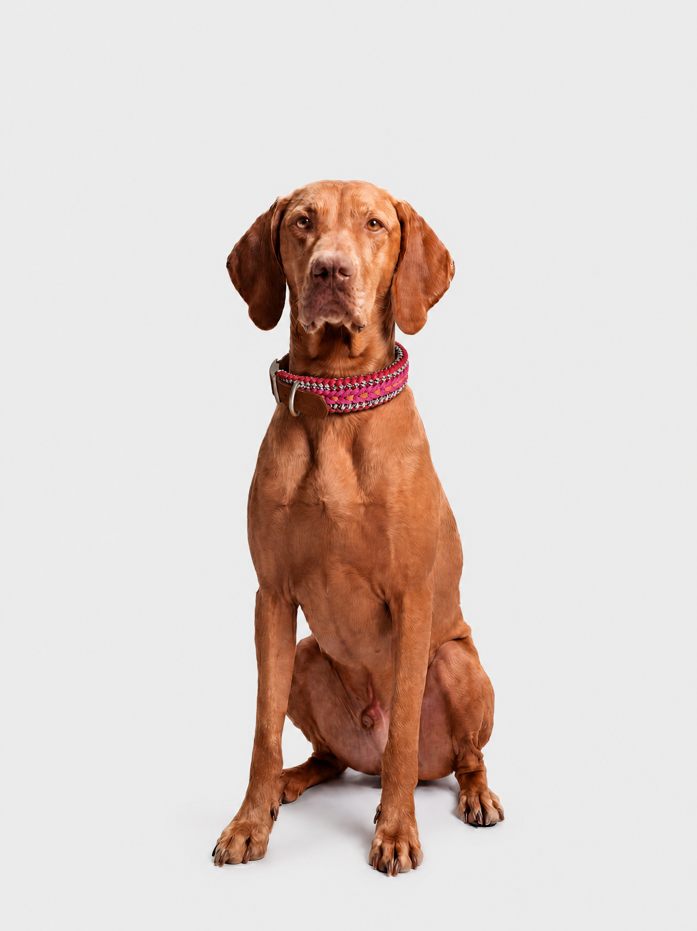 Sunset Collar