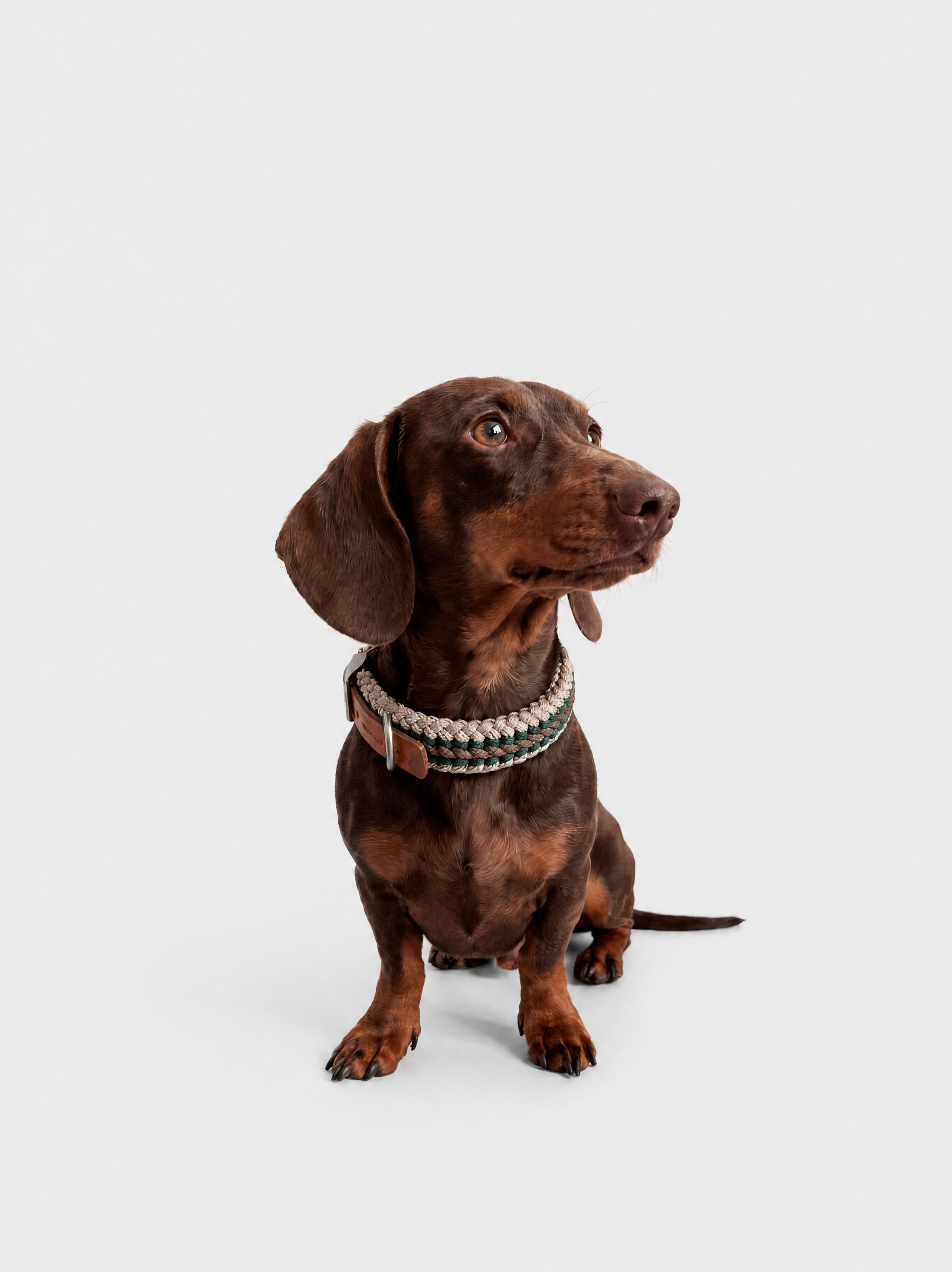 Collar Hunt