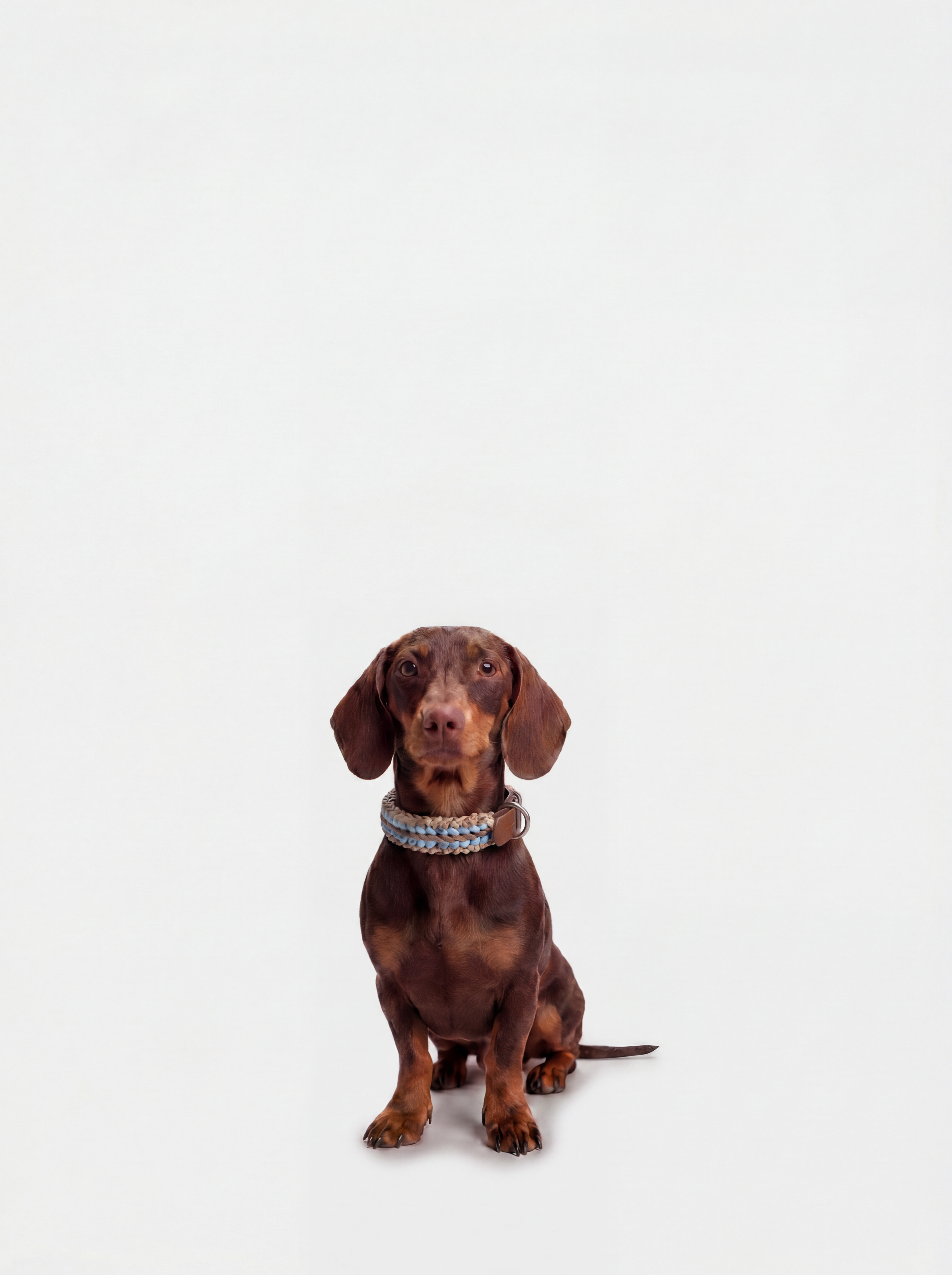 Mocha Collar