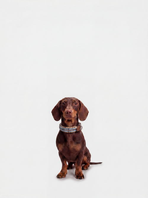 Collar Mocha