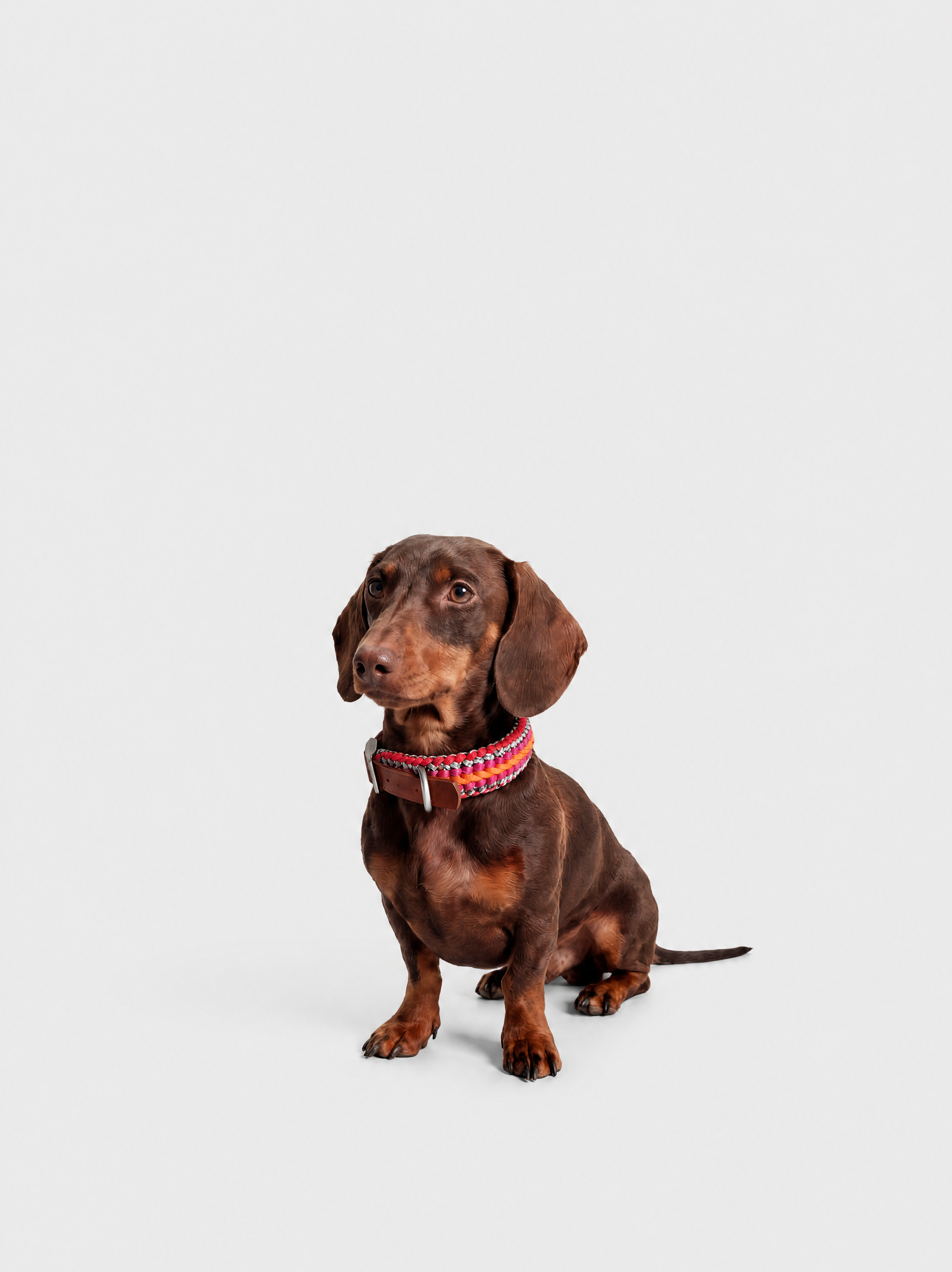 Sunset Collar